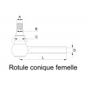 ROTULE EXTERIEUR pour tracteurs DEUTZ 