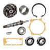 KIT REPARATION POMPE A EAU pour tracteurs LANDINI MASSEY-FERGUSON