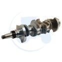 VILEBREQUIN 4 CYLINDRES (7 vis) pour tracteurs SOMECA FIAT