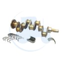 VILEBREQUIN (tresse) pour tracteurs MASSEY-FERGUSON