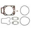 POCHETTE RODAGE MWM D227 0.8 mm pour tracteurs RENAULT FENDT