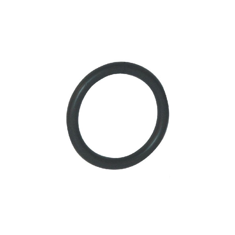 JOINT TORIQUE INJECTEUR MWM SERIE B