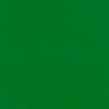PEINTURE VERT DEUTZ série 05 & série D - POT 1L