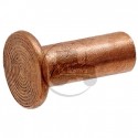 Rivet