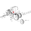 PIGNON D'ENTRAINEMENT DE POMPE HYDRAULQIUE pour tracteurs RENAULT