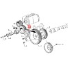 PIGNON D'ENTRAINEMENT DE POMPE HYDRAULQIUE pour tracteurs RENAULT
